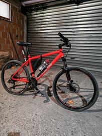 Bici mountainbike