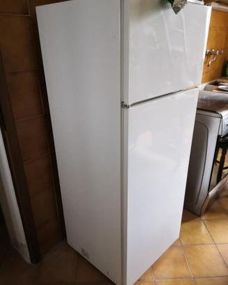 FRIGO REX COMBINATO CONGELATORE-FRIGO.