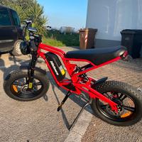 Bicicletta elettrico