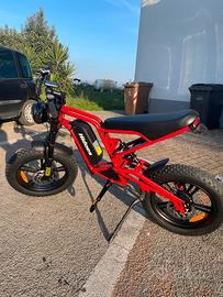 Bicicletta elettrico