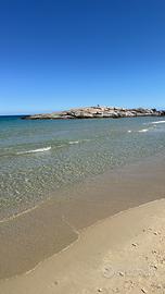 Costa rei monolocale