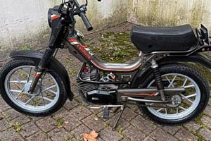 motore          