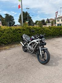 suzuki gs 500 2003