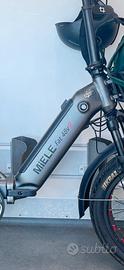 Bicicletta Fat48 V2 R Miele