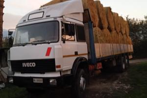 Camion Fiat 175/24