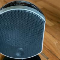 Focal bird home theater