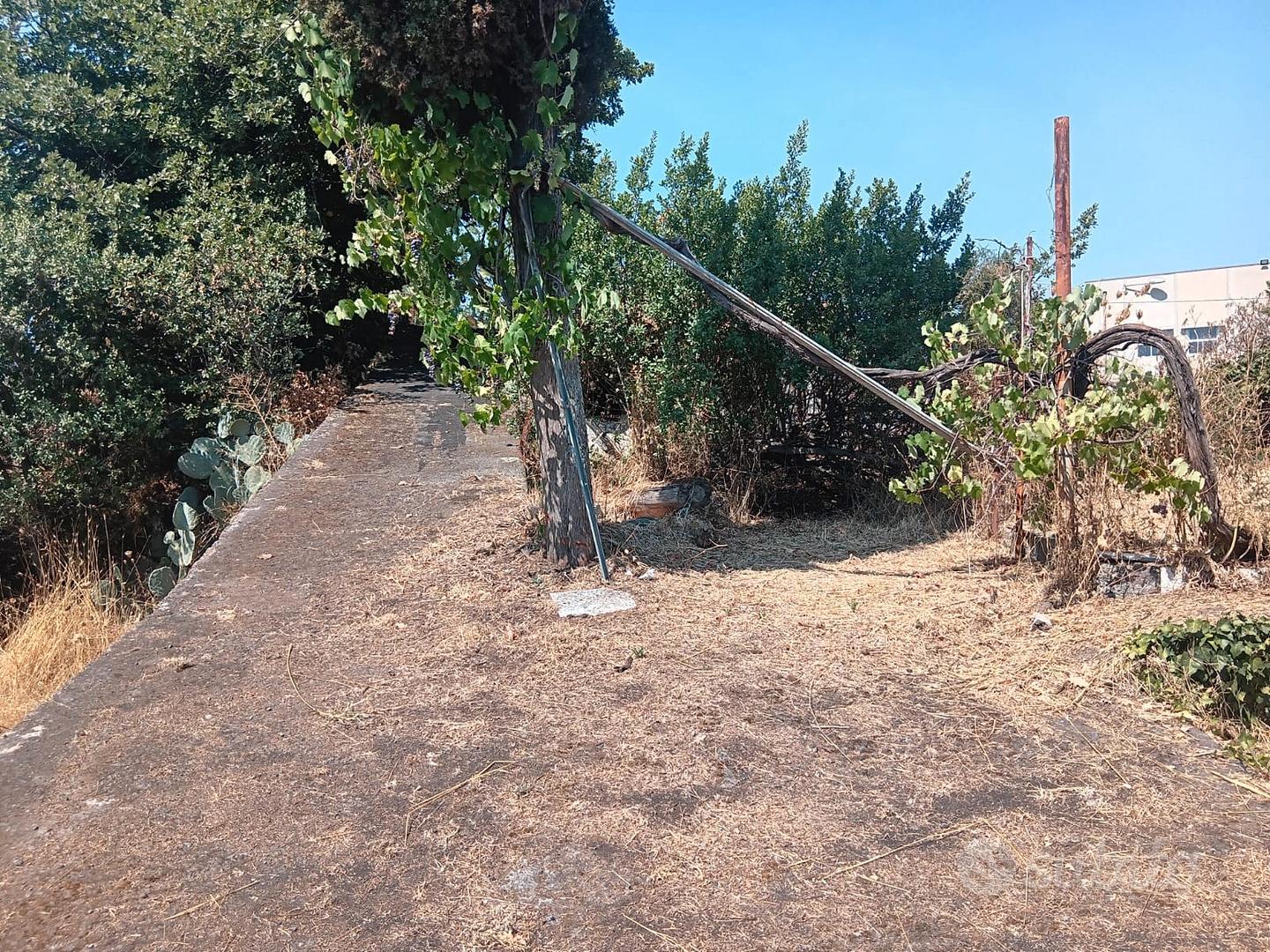 Terreno artigianale 1.100 mq con rudere mq 80 - Vista 3