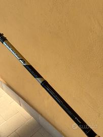 Canna da pesca 10-40gr