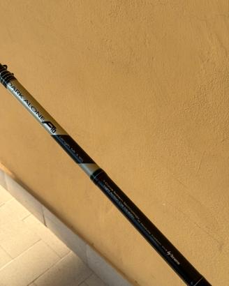 Canna da pesca 10-40gr