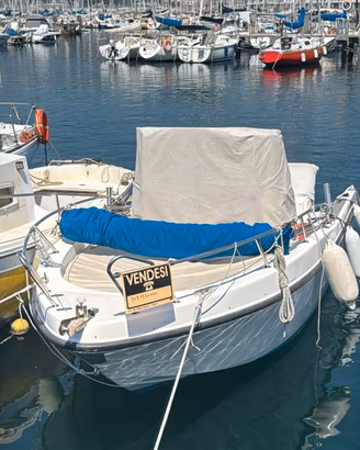 barca a motore
