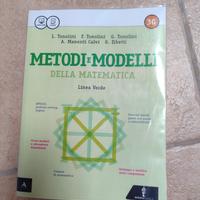 9788829845859 metodi e modelli della matematica 