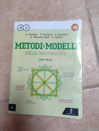 9788829845859 metodi e modelli della matematica 