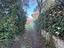 Immagine 11