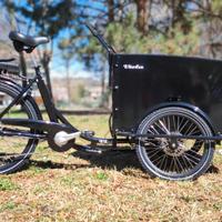 Cargo Bike Canguro 250W