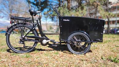 Cargo Bike Canguro 250W