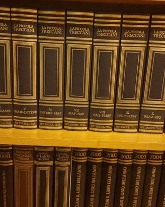 Enciclopedia Piccola Treccani