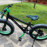 Bicicletta fat bike