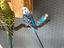 Immagine 3
