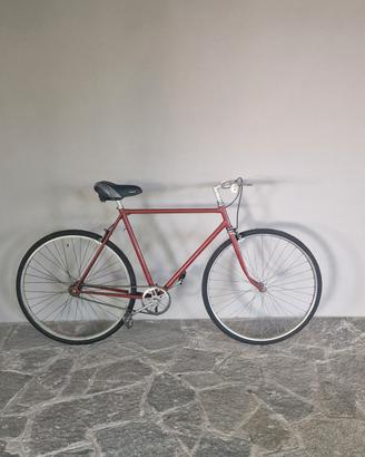 Bicicletta da uomo