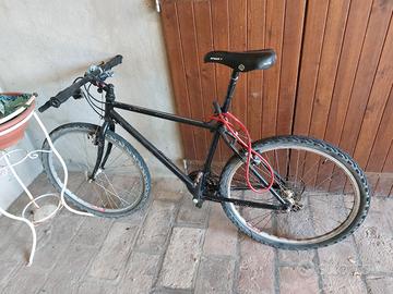 mtb da sistemare 