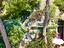 Immagine 29