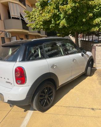 Mini countryman