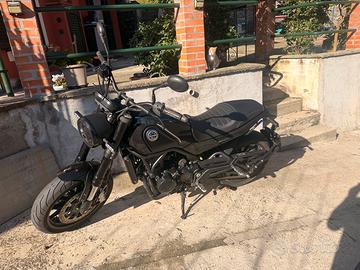 Benelli leoncino 500 del 2024 km