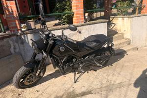 Benelli leoncino 500 del 2024 km