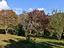 Immagine 26