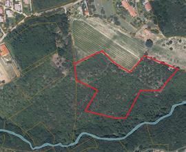 0690-terreno in località Punta Sottile