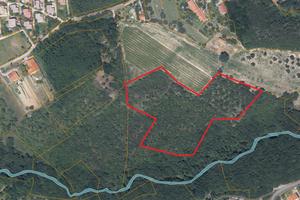 0690-terreno in località Punta Sottile