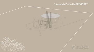 TERRENO VISTA MARE IN ZONA LOTTIZZATA a CERASOLO