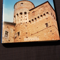 Libro "I castelli del Piemonte"