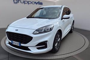 FORD Kuga full hybrid ST-Line 2wd Automatica