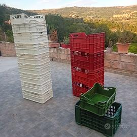 14 cassette per la vendemmia