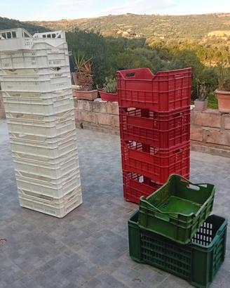 14 cassette per la vendemmia
