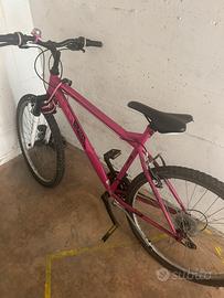 Bicicletta