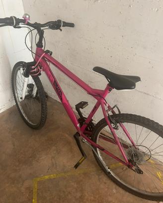 Bicicletta