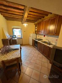 Appartamento nella Svizzera pesciatina