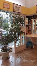 Attività di tabaccheria,lotteria,ricevitoria