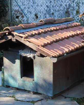 Cuccia per cani