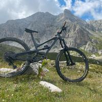 Yt capra comp 29