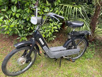 Piaggio Ciao PX 1981