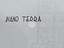Immagine 13