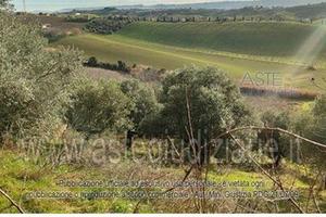 Terreno Agricolo Pianella [A4353884]