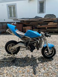 Minimoto Replica POLINI