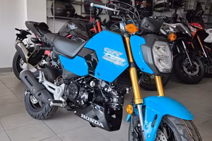 Honda MSX GROM 125 NUOVA
