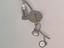 Immagine 2