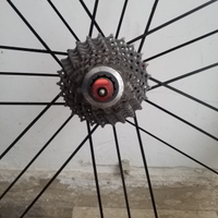 Shimano Dura Ace 7900 pignoni