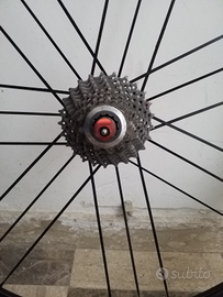 Shimano Dura Ace 7900 pignoni